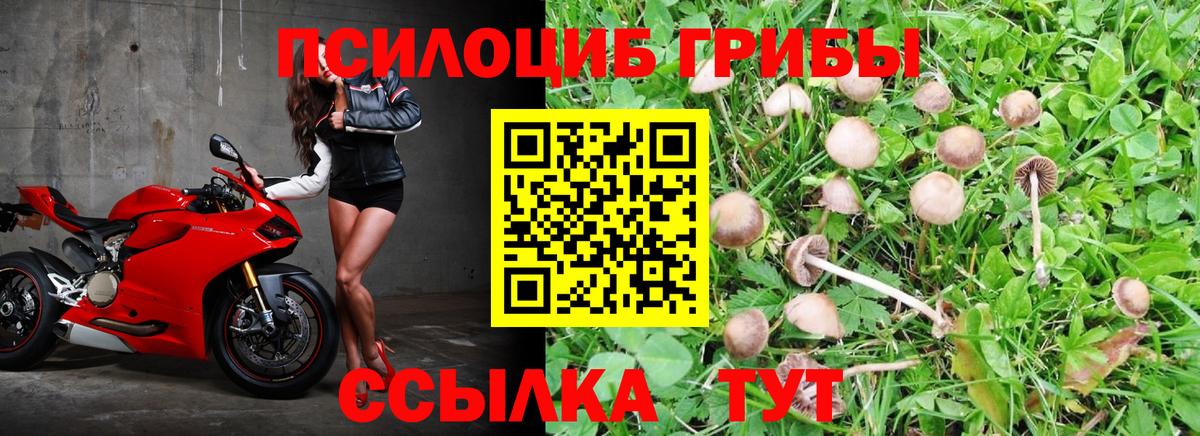 Галлюциногенные грибы прущие грибы  Вход с VPN  Сатка  Псилоцибиновые грибы MAGIC MUSHROOMS 